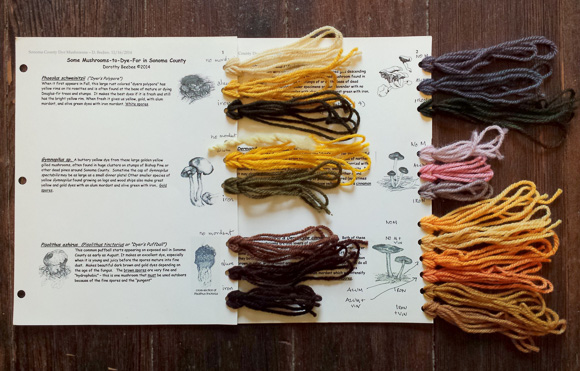 Pepperwood-mushroom-dye-samples-large-TS