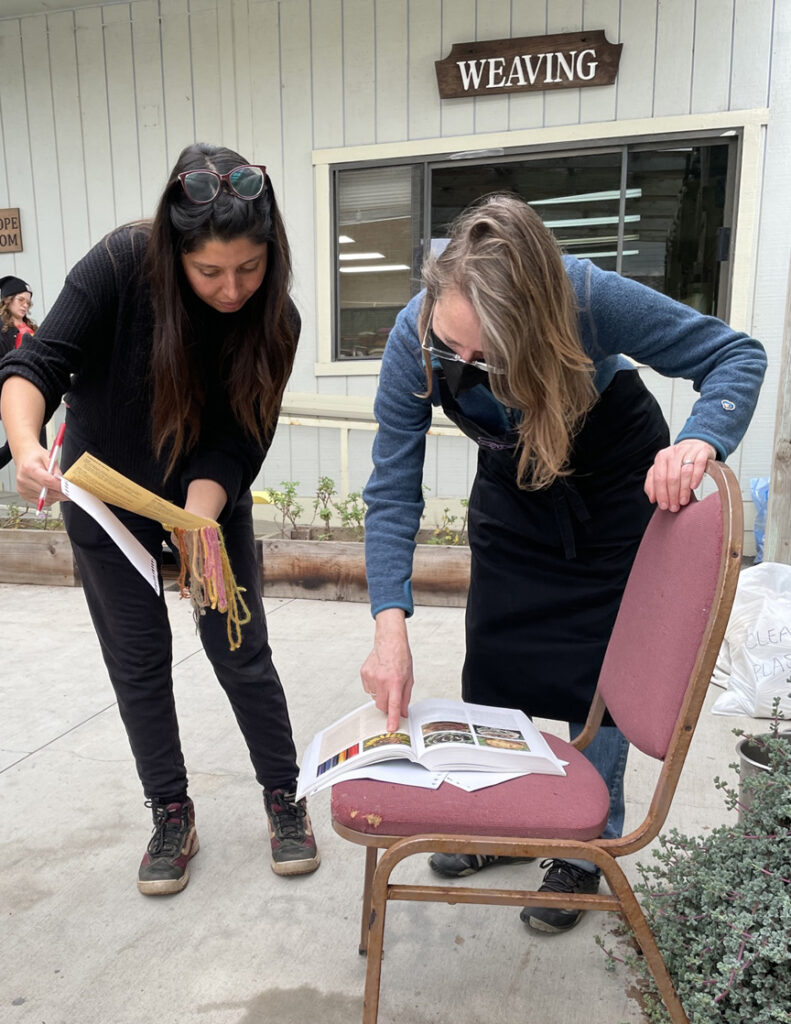 two women using reference book for mushroom dyes