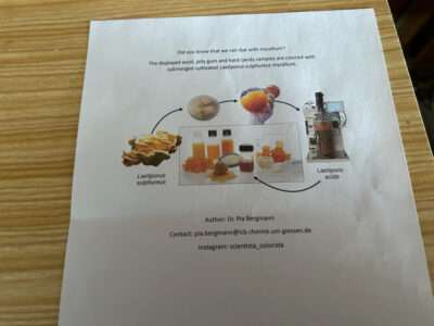 Hard candy and jelly gum - dyed with L. sulphureus mycelium