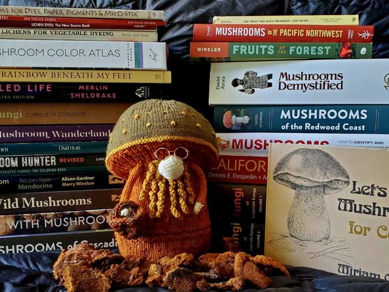 Professor Fungi