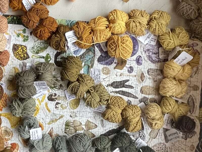 “My backyard” Mushroom Spectrum (thus far!)