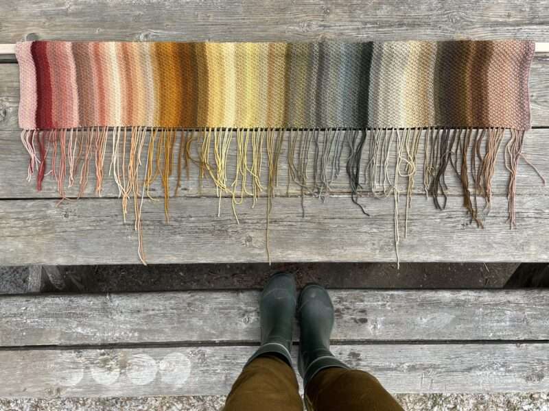 “My backyard” Mushroom Spectrum (thus far!)