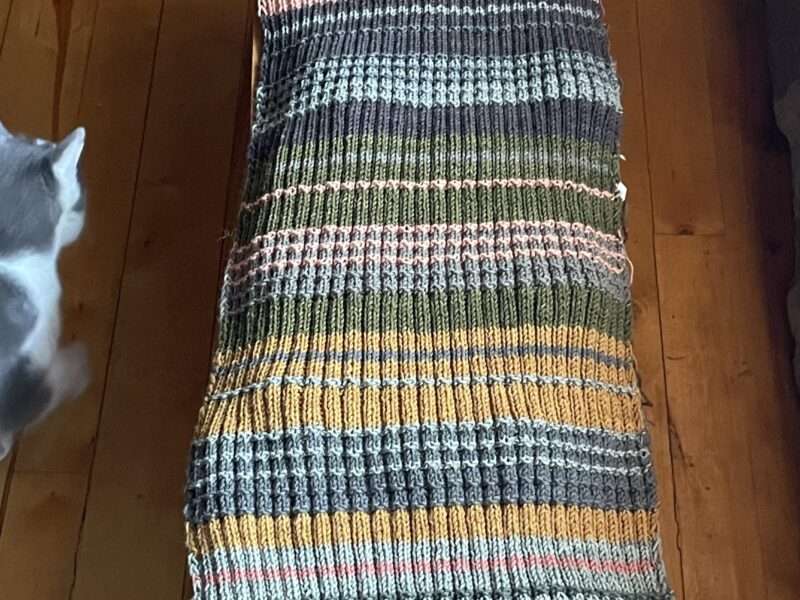 Mushroom-dyed “Fungus Scarf”