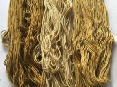 Leafy shawlette | Mushrooms & Color exhibit