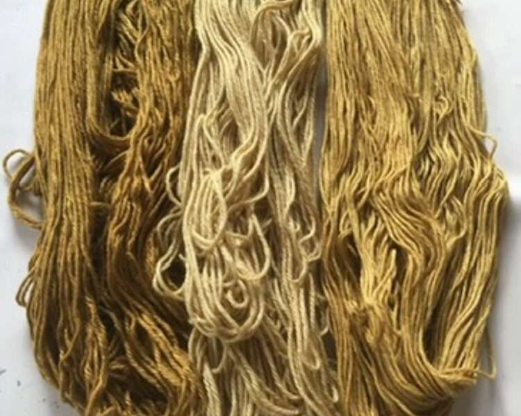 Leafy shawlette | Mushrooms & Color exhibit