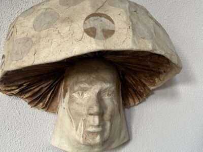 Mushroom Man/Angry Goofy | Mushrooms & Color exhibit