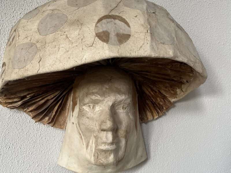 Mushroom Man/Angry Goofy | Mushrooms & Color exhibit
