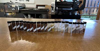 Artists' Book Workshop | Mushrooms & Color exhibit