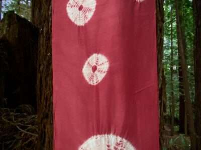 Breathmarks in the Redwoods | Mushrooms & Color exhibit