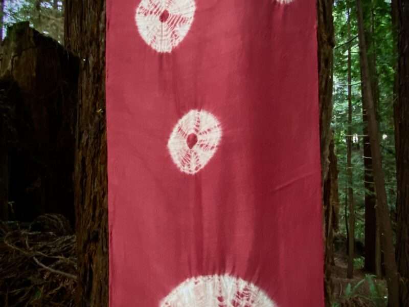 Breathmarks in the Redwoods | Mushrooms & Color exhibit