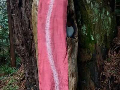 Spine Of The Woods | Mushrooms & Color exhibit