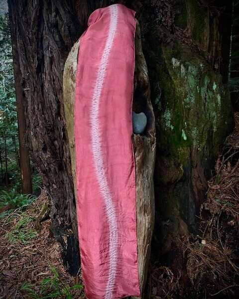 Spine Of The Woods | Mushrooms & Color exhibit