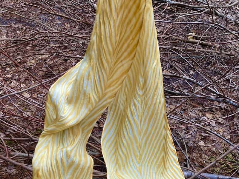 Sun Kiss Of The Woods | Mushrooms & Color exhibit