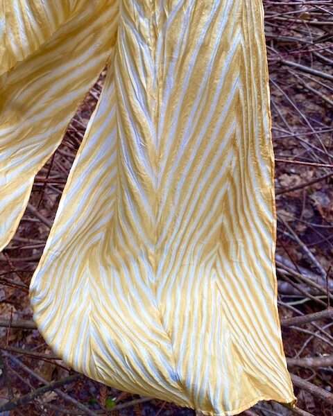Sun Kiss Of The Woods | Mushrooms & Color exhibit