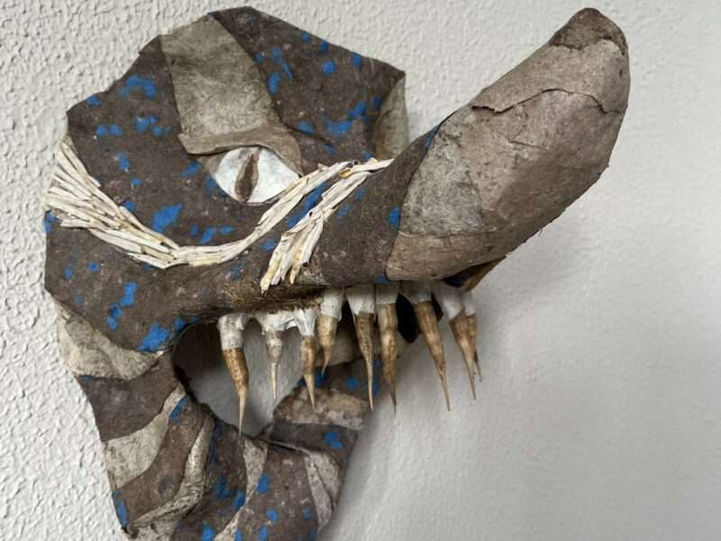 Mushroom Man/Angry Goofy | Mushrooms & Color exhibit