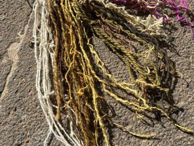 Color samples from IFFS 2025 exhibit