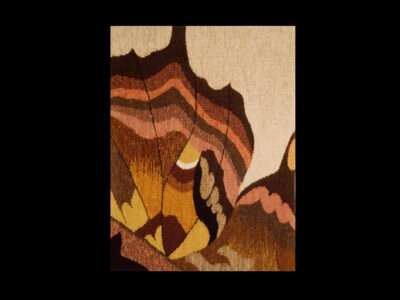 Fragile Flight | Mushrooms & Color exhibit