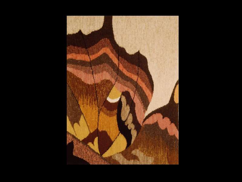 Fragile Flight | Mushrooms & Color exhibit