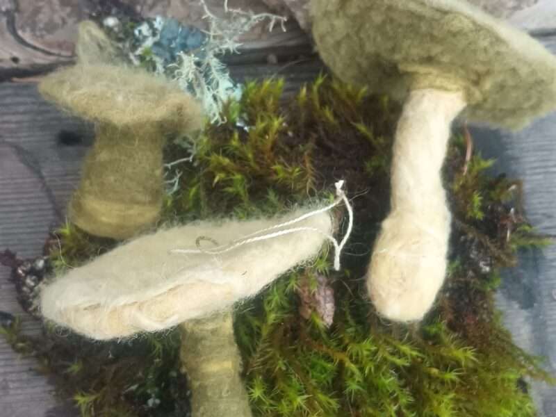 Mushroom ornaments | Mushrooms & Color exhibit