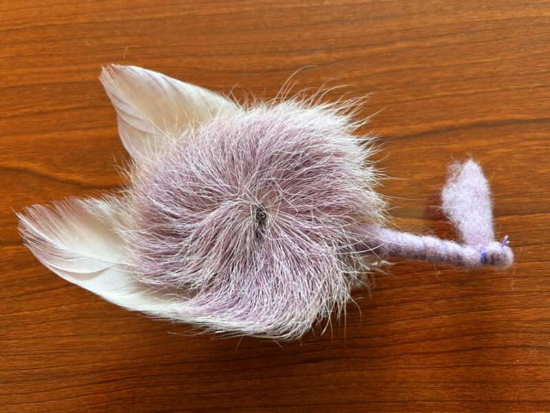 Reindeer flower from IMDI Archive | Mushrooms & Color exhibit