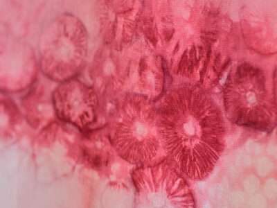Pilzgefärbter Seidenschal / Mushroom-dyed silk scarf