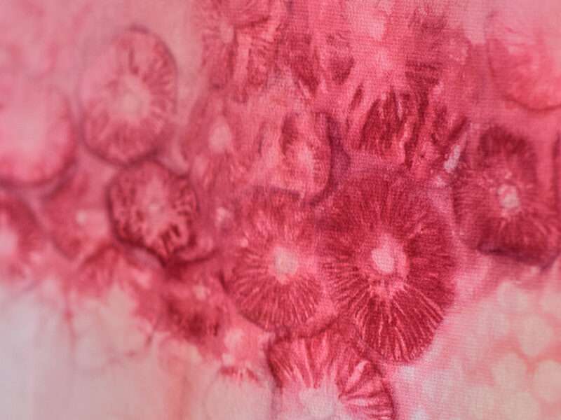 Pilzgefärbter Seidenschal / Mushroom-dyed silk scarf
