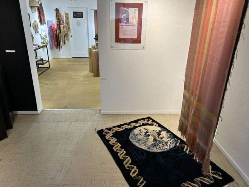 Earth Rug | Mushrooms & Color exhibit