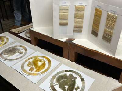 Dye samples from IFFS 2025 exhibit