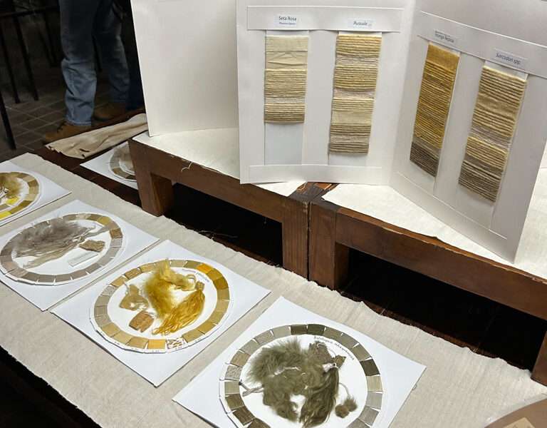 Dye samples from IFFS 2025 exhibit