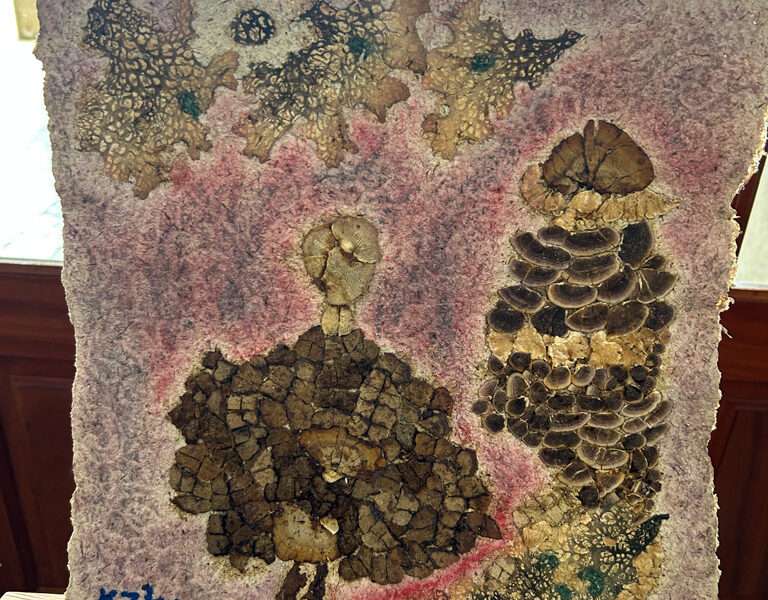 Paintings from IFFS 2025 exhibit
