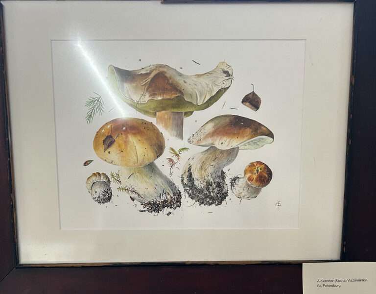 Science illustration from IFFS 2025 exhibit