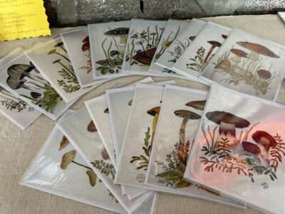 Cards from IFFS 2025 exhibit