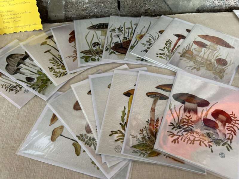 Cards from IFFS 2025 exhibit