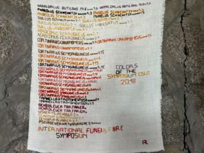 Embroidered hanging from IFFS 2025 exhibit