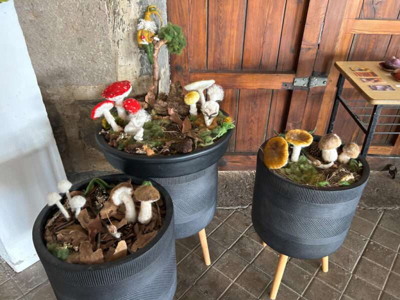 Forest floor from IFFS 2025 exhibit