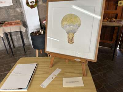 Science illustration from IFFS 2025 exhibit