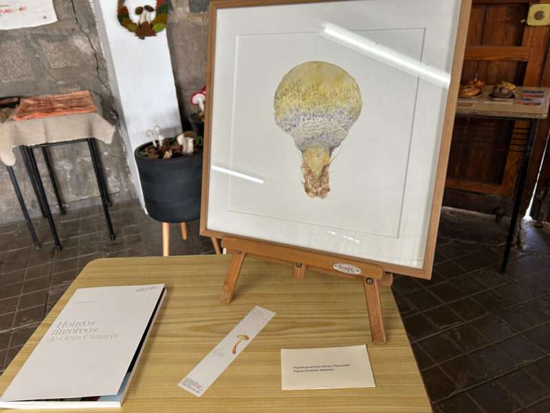 Science illustration from IFFS 2025 exhibit