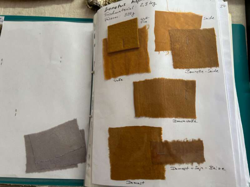 Color samples from IFFS 2025 exhibit