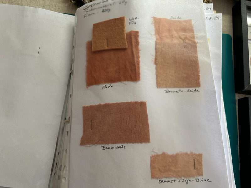 Color samples from IFFS 2025 exhibit