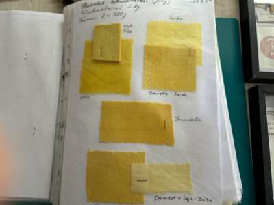 Color samples from IFFS 2025 exhibit