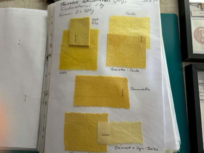 Color samples from IFFS 2025 exhibit