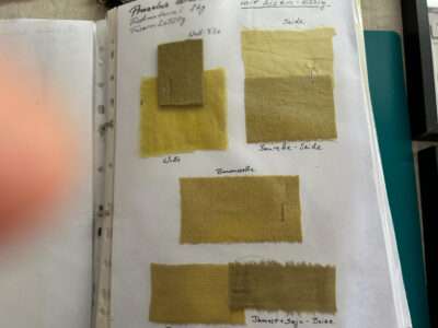 Color samples from IFFS 2025 exhibit