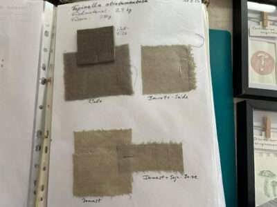 Color samples from IFFS 2025 exhibit