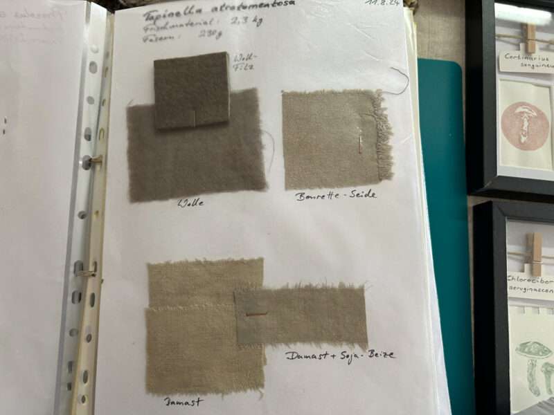 Color samples from IFFS 2025 exhibit