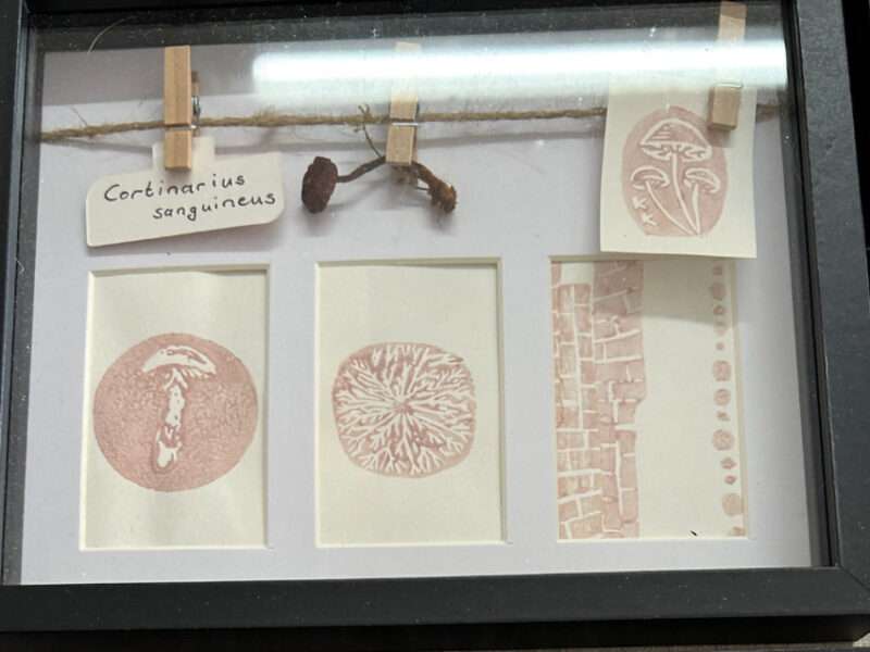 CONNECTION - NETWORK - MYCELIUM from IFFS 2025 exhibit
