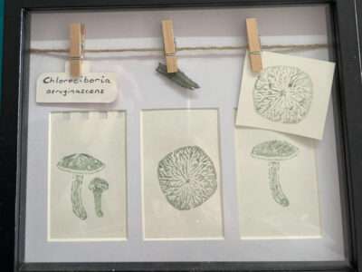 CONNECTION - NETWORK - MYCELIUM from IFFS 2025 exhibit