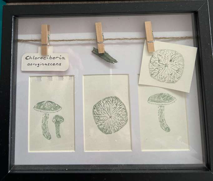 CONNECTION - NETWORK - MYCELIUM from IFFS 2025 exhibit