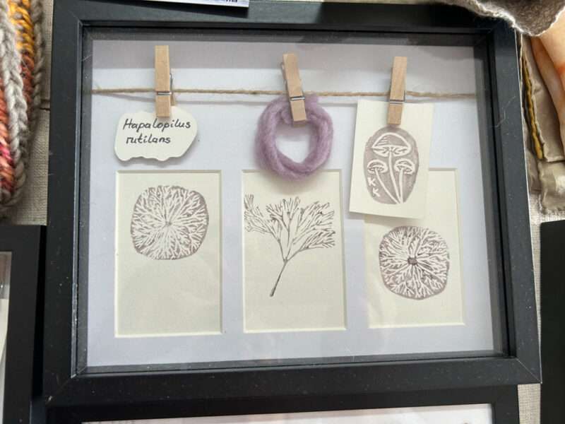 CONNECTION - NETWORK - MYCELIUM from IFFS 2025 exhibit