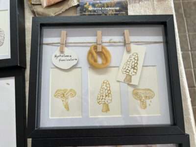 CONNECTION - NETWORK - MYCELIUM from IFFS 2025 exhibit