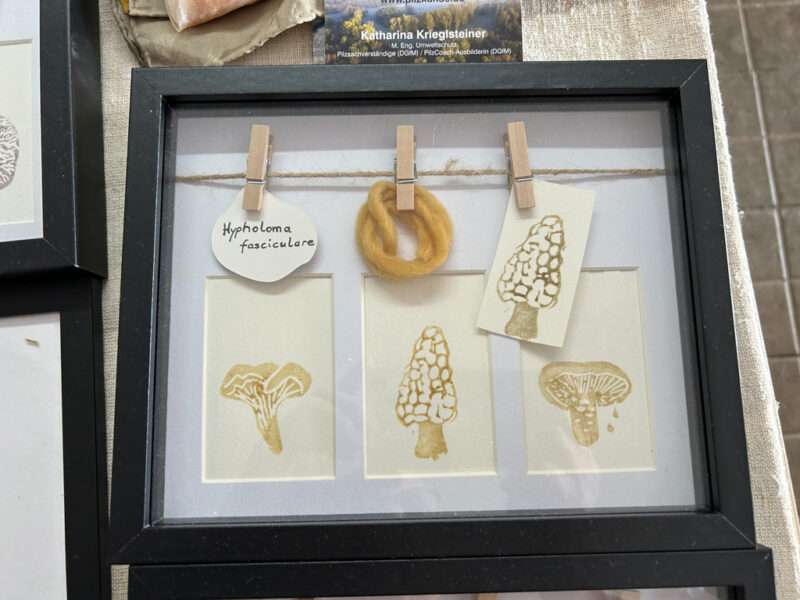 CONNECTION - NETWORK - MYCELIUM from IFFS 2025 exhibit